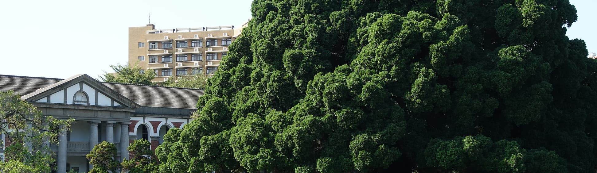 成功大學榕園