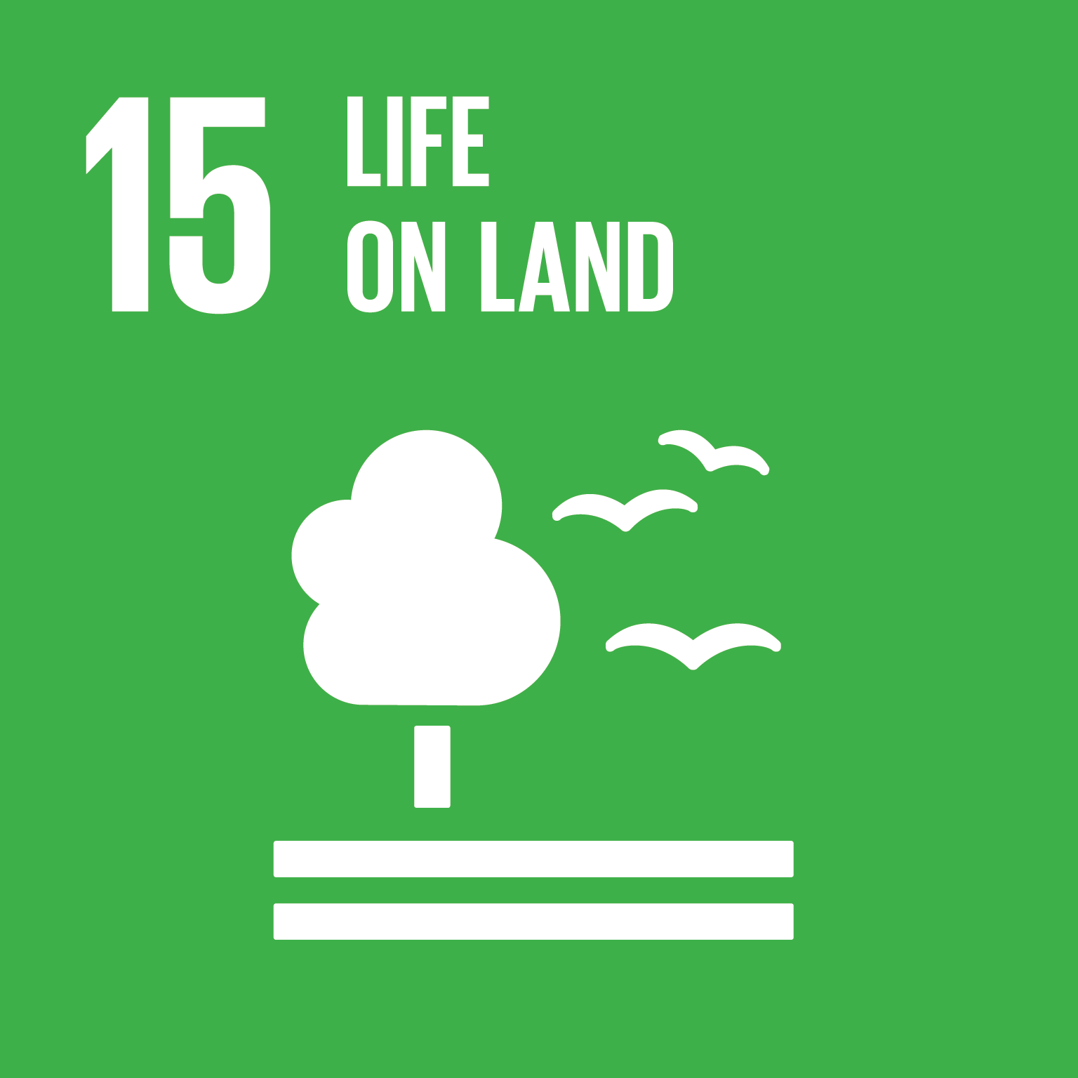 SDG15: Life on Land